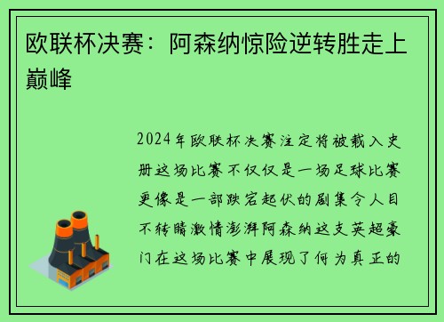 欧联杯决赛：阿森纳惊险逆转胜走上巅峰